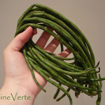 Haricots kilomètre