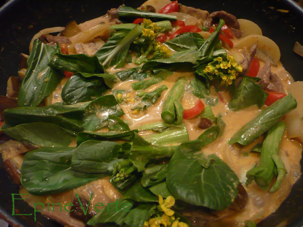 curry panang de boeuf et légumes asiatiques