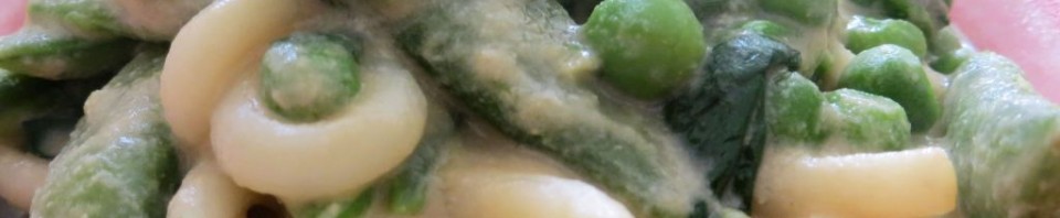 Udons sauce miso/crème de sésame