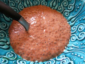 "Pudding" de Chia au chocolat
